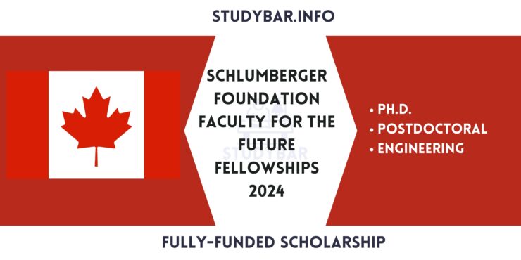 Schlumberger Foundation Faculty for the Future Fellowships 2024