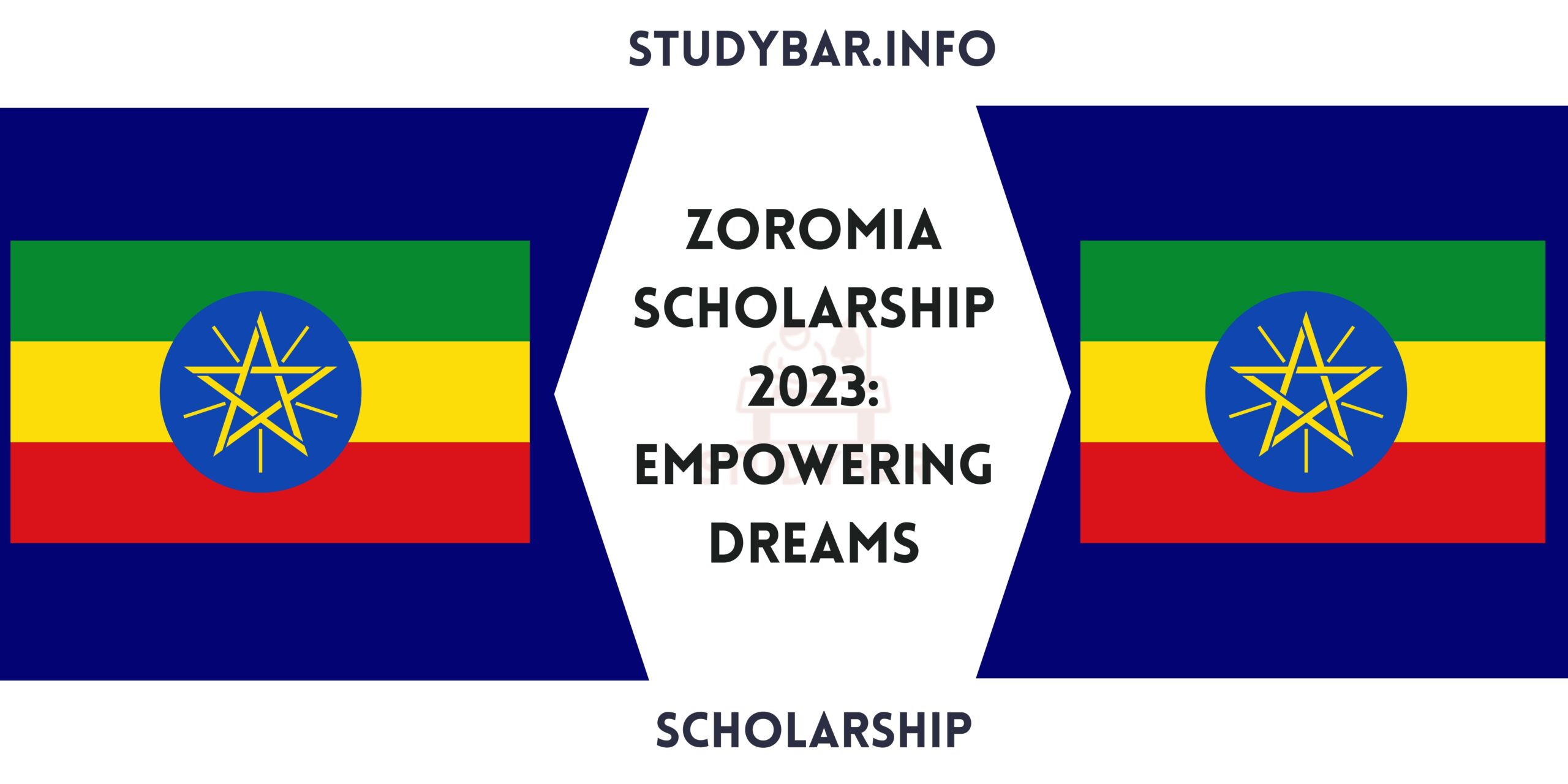 Zoromia Scholarship